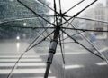 Ilustrācija: umbrella, rain, nature, wet, weather, cold, raindrops, clear umbrella, city, crosswalk, storm, rainy, parasol, water