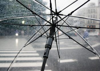 Ilustrācija: umbrella, rain, nature, wet, weather, cold, raindrops, clear umbrella, city, crosswalk, storm, rainy, parasol, water