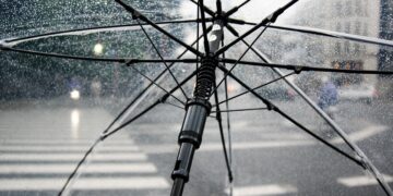 Ilustrācija: umbrella, rain, nature, wet, weather, cold, raindrops, clear umbrella, city, crosswalk, storm, rainy, parasol, water