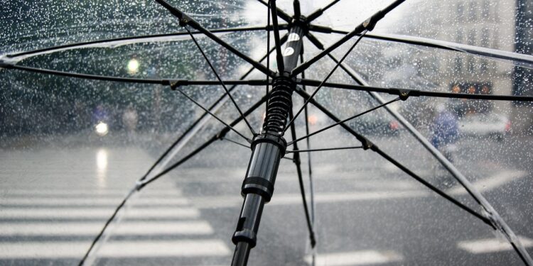 Ilustrācija: umbrella, rain, nature, wet, weather, cold, raindrops, clear umbrella, city, crosswalk, storm, rainy, parasol, water