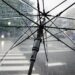 Ilustrācija: umbrella, rain, nature, wet, weather, cold, raindrops, clear umbrella, city, crosswalk, storm, rainy, parasol, water