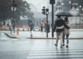 Ilustrācija: couple, nature, pedestrian, rain, raining, relationship, together, street, outdoors