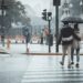 Ilustrācija: couple, nature, pedestrian, rain, raining, relationship, together, street, outdoors