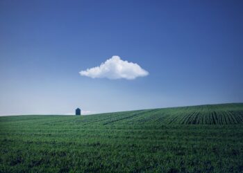 Ilustrācija: fields, farm, house, farmland, agriculture, horizon, cloud, sky, blue sky, nature, rural, countryside, landscape, farm, farm, farm, farm, farm, house, farmland, agriculture, agriculture, cloud, cloud, sky, blue sky, blue sky, blue sky, nature