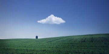 Ilustrācija: fields, farm, house, farmland, agriculture, horizon, cloud, sky, blue sky, nature, rural, countryside, landscape, farm, farm, farm, farm, farm, house, farmland, agriculture, agriculture, cloud, cloud, sky, blue sky, blue sky, blue sky, nature