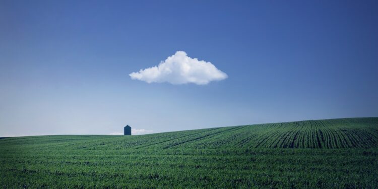 Ilustrācija: fields, farm, house, farmland, agriculture, horizon, cloud, sky, blue sky, nature, rural, countryside, landscape, farm, farm, farm, farm, farm, house, farmland, agriculture, agriculture, cloud, cloud, sky, blue sky, blue sky, blue sky, nature