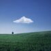 Ilustrācija: fields, farm, house, farmland, agriculture, horizon, cloud, sky, blue sky, nature, rural, countryside, landscape, farm, farm, farm, farm, farm, house, farmland, agriculture, agriculture, cloud, cloud, sky, blue sky, blue sky, blue sky, nature