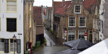 Ilustrācija: rain, urban, street, umbrella, nature, wet