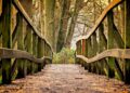 Ilustrācija: bridge, path, park, wooden bridge, trail, pedestrian bridge, railing, wood, trees, forest, nature, bridge, bridge, bridge, bridge, bridge, path, park, park, wood, forest, forest, forest, nature