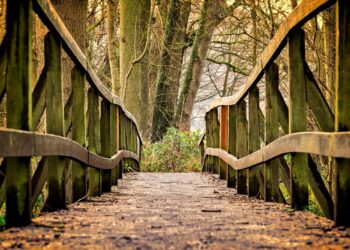 Ilustrācija: bridge, path, park, wooden bridge, trail, pedestrian bridge, railing, wood, trees, forest, nature, bridge, bridge, bridge, bridge, bridge, path, park, park, wood, forest, forest, forest, nature