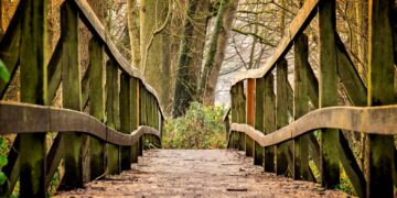 Ilustrācija: bridge, path, park, wooden bridge, trail, pedestrian bridge, railing, wood, trees, forest, nature, bridge, bridge, bridge, bridge, bridge, path, park, park, wood, forest, forest, forest, nature