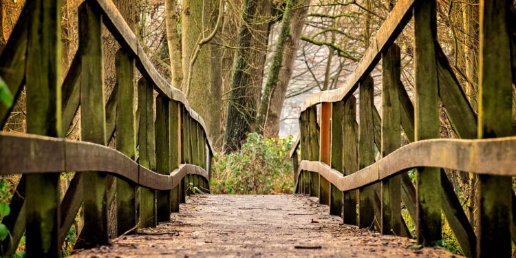 Ilustrācija: bridge, path, park, wooden bridge, trail, pedestrian bridge, railing, wood, trees, forest, nature, bridge, bridge, bridge, bridge, bridge, path, park, park, wood, forest, forest, forest, nature
