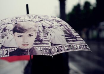 Ilustrācija: rain, umbrella, raindrop, impression, nature, beauty, rainy