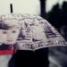 Ilustrācija: rain, umbrella, raindrop, impression, nature, beauty, rainy