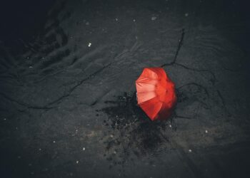 Ilustrācija: rain, umbrella, nature, pavement, red, black