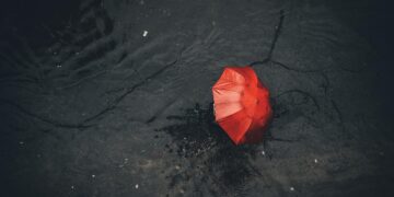Ilustrācija: rain, umbrella, nature, pavement, red, black