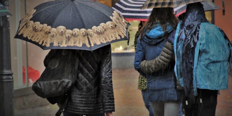 Ilustrācija: umbrella, rain, wet, street, city, rainy day, nature, water, the person, man, people, umbrellas, in the rain, stain, drop of rain, gloomily, raindrops, morgrntau, jacket, urban street