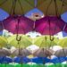 Ilustrācija: umbrellas, city, nature, outdoor, street, rain, urban, colorful, sunshade