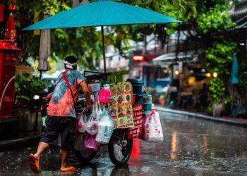 Ilustrācija: man, cart, street food, culture, nature, rain, umbrella, puddle, weather, wet, city