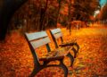 Ilustrācija: benches, autumn, park, rest, sit, park bench, seats, wood, wooden bench, leaves, foliage, autumn leaves, autumn foliage, autumn season, autumn colors, fall, nature, fall foliage, fallen leaves, fall colors