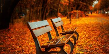 Ilustrācija: benches, autumn, park, rest, sit, park bench, seats, wood, wooden bench, leaves, foliage, autumn leaves, autumn foliage, autumn season, autumn colors, fall, nature, fall foliage, fallen leaves, fall colors