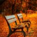 Ilustrācija: benches, autumn, park, rest, sit, park bench, seats, wood, wooden bench, leaves, foliage, autumn leaves, autumn foliage, autumn season, autumn colors, fall, nature, fall foliage, fallen leaves, fall colors