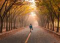 Ilustrācija: road, pavement, woman, trees, walk, girl, fog, walking, roadway, avenue, nature, mist, leaves, foliage, autumn, fall, park