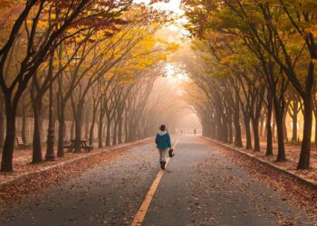 Ilustrācija: road, pavement, woman, trees, walk, girl, fog, walking, roadway, avenue, nature, mist, leaves, foliage, autumn, fall, park