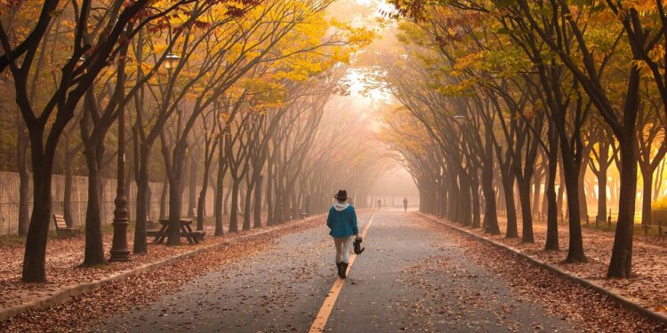 Ilustrācija: road, pavement, woman, trees, walk, girl, fog, walking, roadway, avenue, nature, mist, leaves, foliage, autumn, fall, park