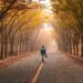 Ilustrācija: road, pavement, woman, trees, walk, girl, fog, walking, roadway, avenue, nature, mist, leaves, foliage, autumn, fall, park