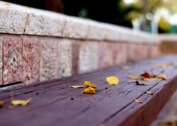 Ilustrācija: bench, autumn, park, nature, leaves