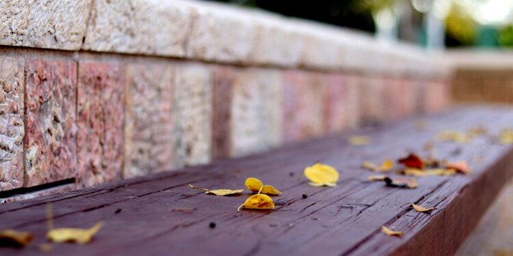 Ilustrācija: bench, autumn, park, nature, leaves