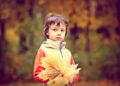 Ilustrācija: the park, autumn, autumn park, boy, baby, autumn leaves, autumn forest, autumn nature, nature, golden autumn, listopad, autumn colors, autumn leaf, forest, yellow leaves