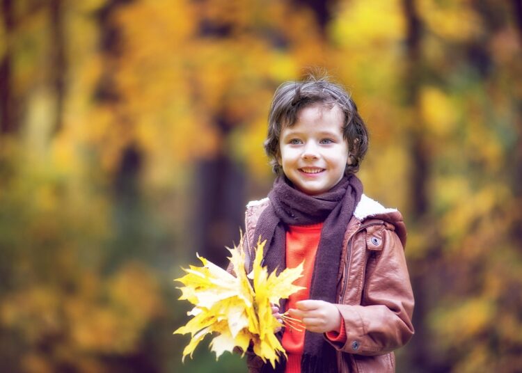 Ilustrācija: the park, autumn, autumn park, boy, baby, autumn leaves, autumn forest, autumn nature, nature, golden autumn, listopad, autumn colors, autumn leaf, forest, yellow leaves