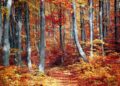Ilustrācija: fall, forest, colorful, season, woods, trees, nature, landscape, autumn, outdoor, leaves, foliage, fall, fall, fall, forest, forest, autumn, autumn, autumn, autumn, autumn